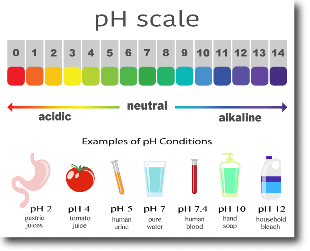 What Is Oral PH And How Does It Affect Your Health All About Smiles