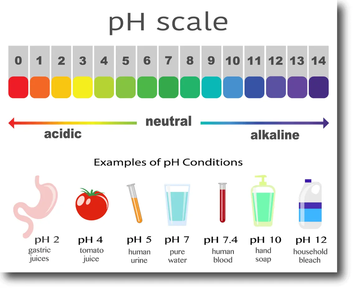 Why pH is always measured between 0 and 14